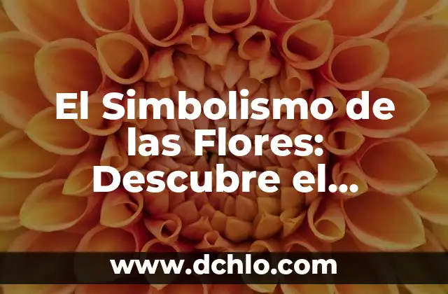 Frecuencia de carta compromiso significado 3 El Simbolismo de las Flores: Descubre el Significado de 3 Gerberas Juntas
