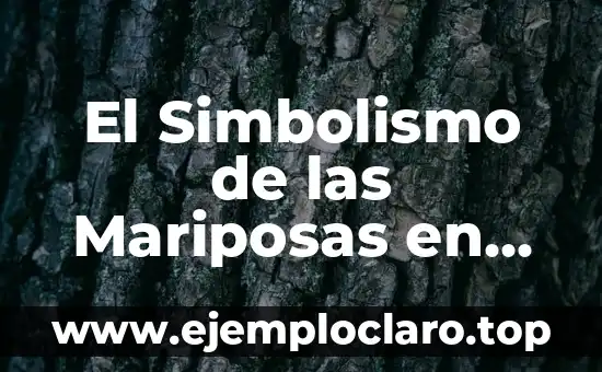 El Simbolismo de las Mariposas en Diferentes Culturas