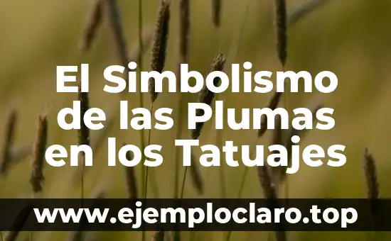 El Simbolismo de las Plumas en los Tatuajes