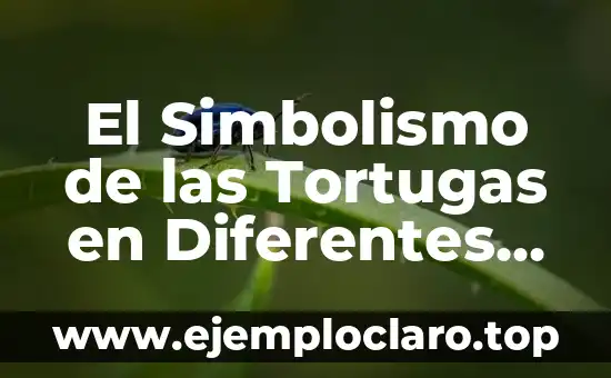 El Simbolismo de las Tortugas en Diferentes Culturas
