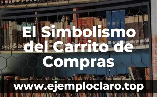 Introducción al significado de las compras 8 El Simbolismo del Carrito de Compras