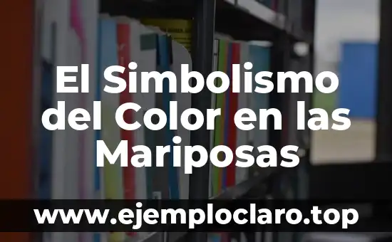 El Simbolismo del Color en las Mariposas