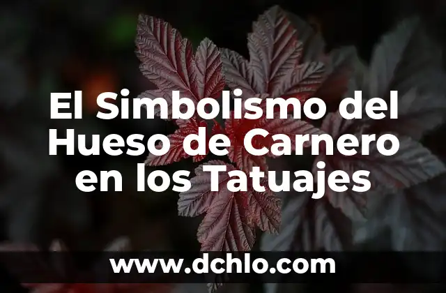 Hojas de laurel: significado y simbolismo detrás de sus hojas 3 El Simbolismo del Hueso de Carnero en los Tatuajes