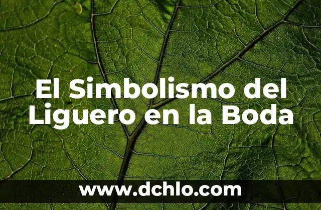 Significados de los años de boda 8 El Simbolismo del Liguero en la Boda