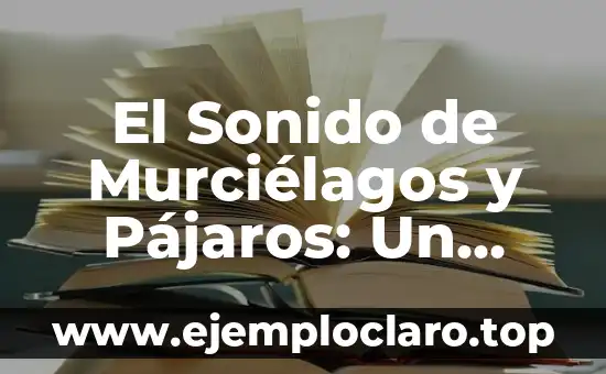 El Sonido de Murciélagos y Pájaros: Un Mundo de Comunicación