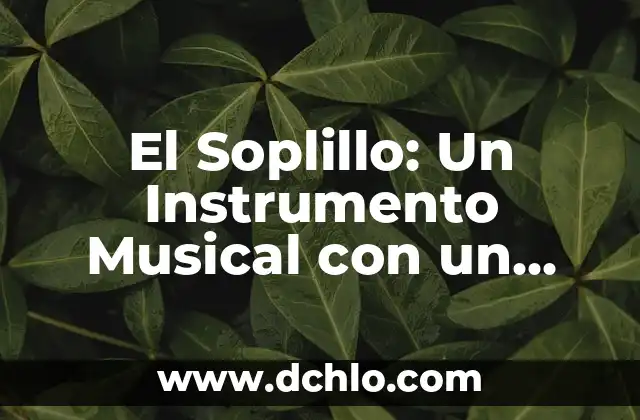 Investigar el significado de contaminación 4 El Soplillo: Un Instrumento Musical con un Profundo Significado