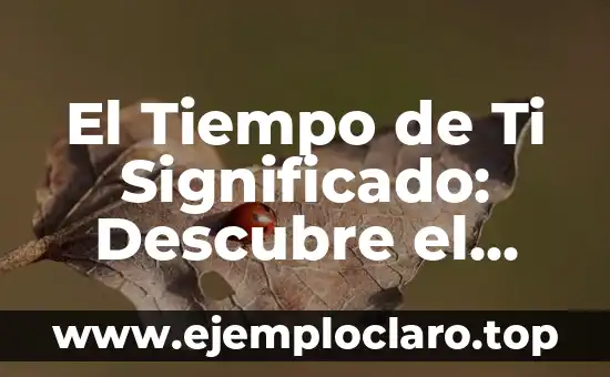 Descubre el significado de fruncir y sus múltiples usos 3 El Tiempo de Ti Significado: Descubre el Valor de Cada Momento