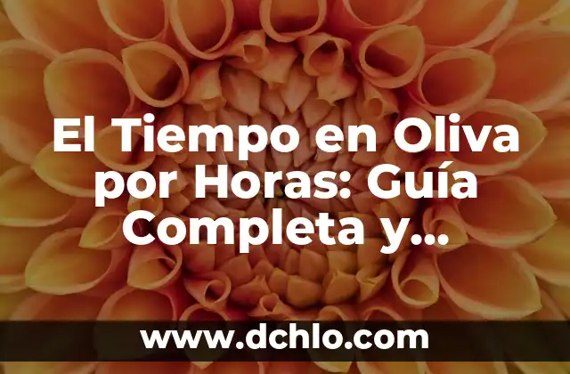 Embarazo Natural a los 47 Años es Posible: Guía Completa y Actualizada 8 El Tiempo en Oliva por Horas: Guía Completa y Detallada