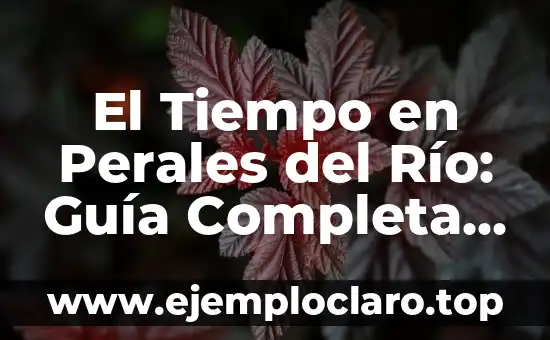 El Anacronismo: Un Viaje en el Tiempo de la Historia y la Cultura 8 El Tiempo en Perales del Río: Guía Completa sobre el Clima y la Meteorología