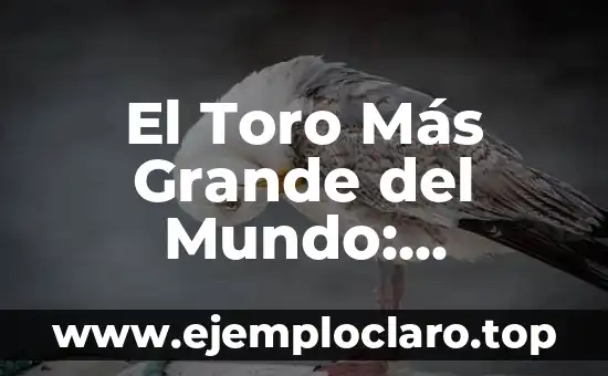 Bioseguridad: Un Concepto Fundamental en Nuestro Mundo 4 El Toro Más Grande del Mundo: Descubre al Campeón de la Raza Bovina