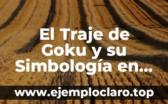 El Traje de Goku y su Simbología en Dragon Ball