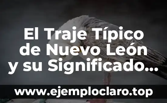 El Traje Típico de Nuevo León y su Significado Cultural