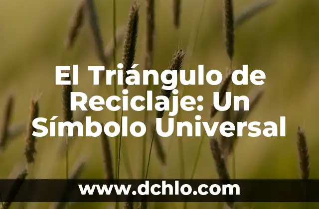 Indignación: Un Sentimiento Universal 3 El Triángulo de Reciclaje: Un Símbolo Universal
