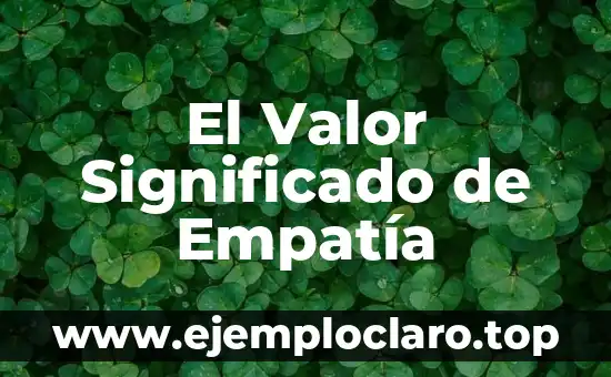 El Valor Significado de Empatía