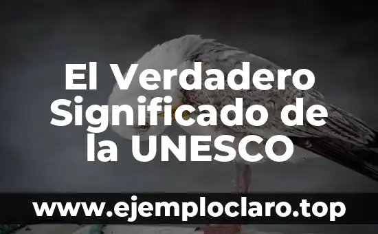 El Verdadero Significado de la UNESCO