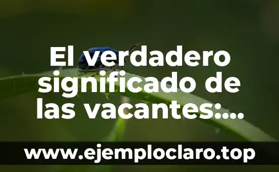 El verdadero significado de las vacantes: más allá del meme