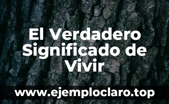 El Verdadero Significado de Vivir