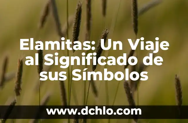 El significado etimológico de Almoloya de Hidalgo 6 Elamitas: Un Viaje al Significado de sus Símbolos