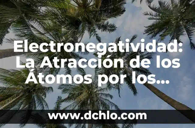 Electronegativo: La Atracción de los Electrones en la Química 5 Electronegatividad: La Atracción de los Átomos por los Electrones