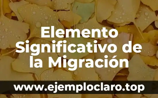 Migración y Significado de Geo 3 Elemento Significativo de la Migración