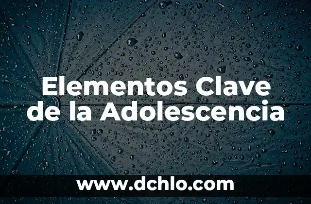 Elementos de un Argumento Significativo 4 Elementos Clave de la Adolescencia
