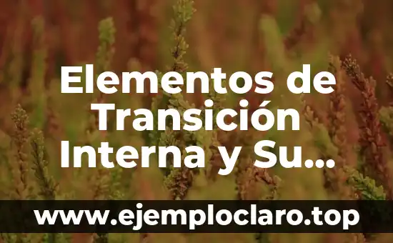 Elementos de Transición Interna y Su Significado en la Escritura