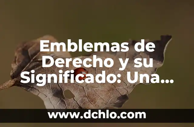 El Principio del Derecho en la Sociedad Moderna 6 Emblemas de Derecho y su Significado: Una Guía Completa