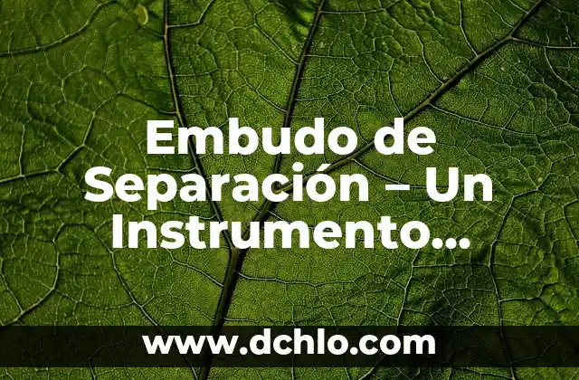 El Significado Laboratorio de Biología: Un Entorno Esencial para el Conocimiento Científico 4 Embudo de Separación – Un Instrumento Esencial en Laboratorio