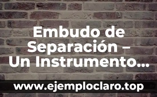 Embudo de Separación - Un Instrumento Esencial en Laboratorio
