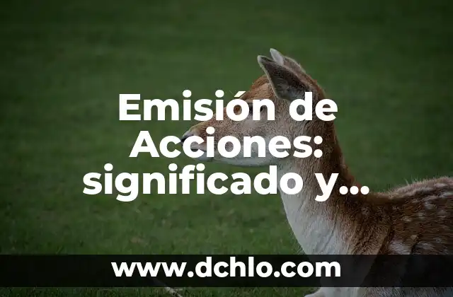Embajadora de la Belleza Significado 4 Emisión de Acciones: significado y relevancia en finanzas