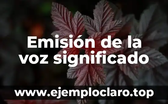 Emisión de la voz significado