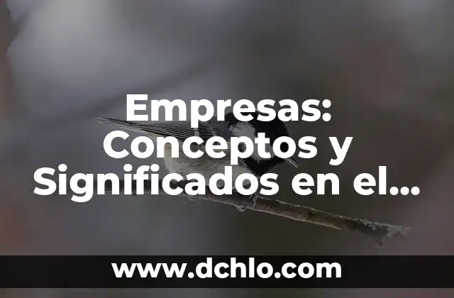 El arte de nombrar empresas: Cuando el nombre habla por sí solo 3 Empresas: Conceptos y Significados en el Mundo Empresarial