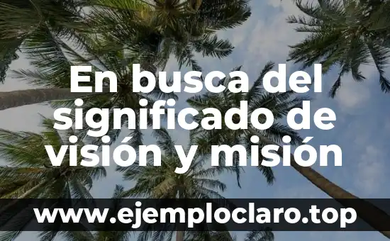 En busca del significado de visión y misión