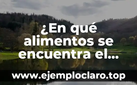 Sulfato de Magnesio para Qué Sirve: Descubre sus Usos y Beneficios 5 ¿En qué alimentos se encuentra el magnesio?