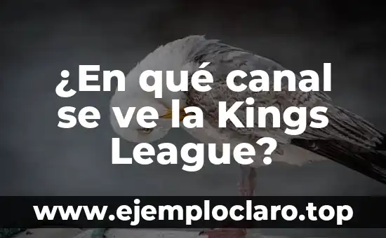 ¿En qué canal se ve la Kings League?