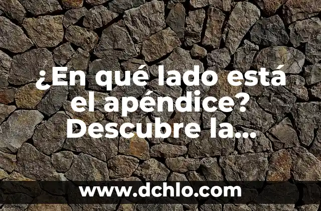 A qué velocidad viaja la luz: Descubre la respuesta exacta 6 ¿En qué lado está el apéndice? Descubre la respuesta