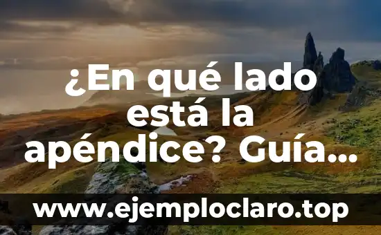 ¿En qué lado está la apéndice? Guía detallada y completa