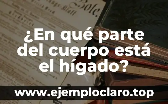 ¿En qué parte del cuerpo está el hígado?
