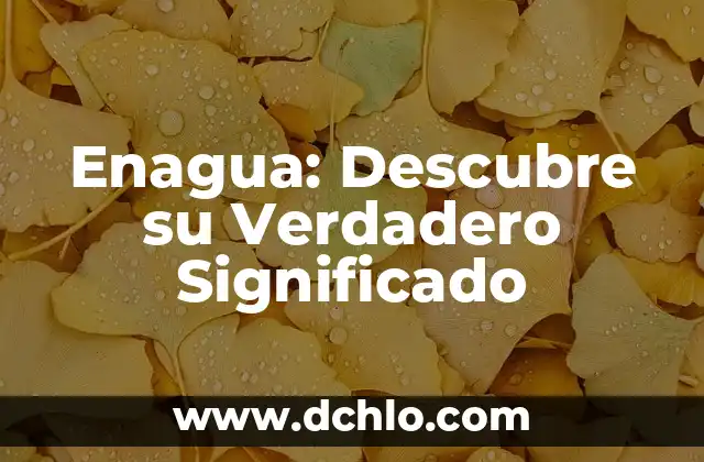 Significado y Concepto de Alma 7 Enagua: Descubre su Verdadero Significado