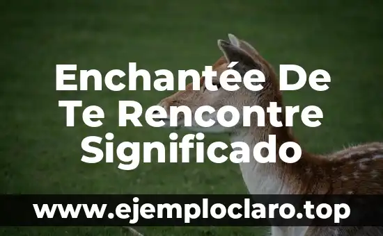 Enchantée De Te Rencontre Significado