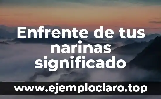 Enfrente de tus narinas significado