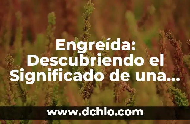 Significado Etimológico de Argumento Válido 6 Engreída: Descubriendo el Significado de una Palabra Única