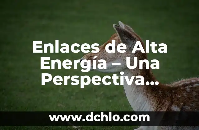 Energía Libre de Reacción: Un Concepto Fundamental en la Termodinámica Química 8 Enlaces de Alta Energía – Una Perspectiva Integral