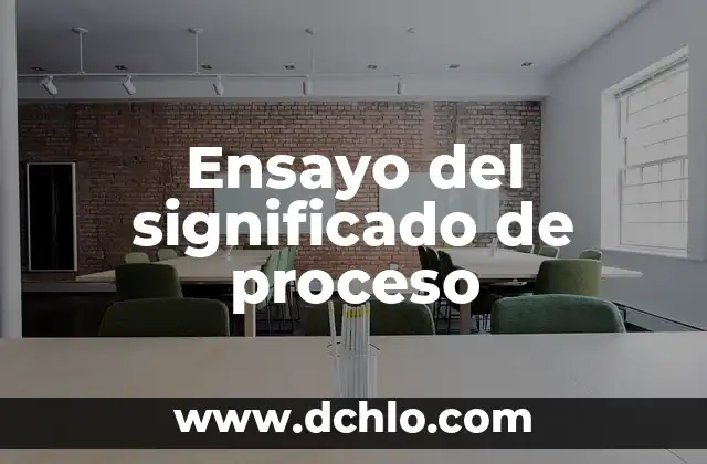 El Significado Etimológico de la Identidad Colectiva 7 Ensayo del significado de proceso
