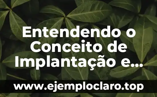 Significado do Conceito de Extranjerismo: Entendendo o Estrangeirismo 3 Entendendo o Conceito de Implantação e seus Sinônimos