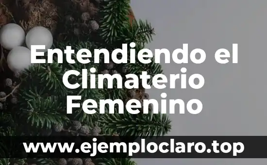 Bioenergética y Ansiedad: Entendiendo la Conexión Energética 5 Entendiendo el Climaterio Femenino