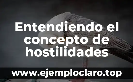 Entendiendo el concepto de hostilidades