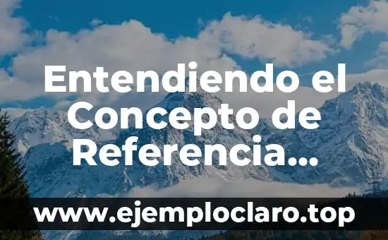 Entendiendo el Concepto de Referencia Inercial