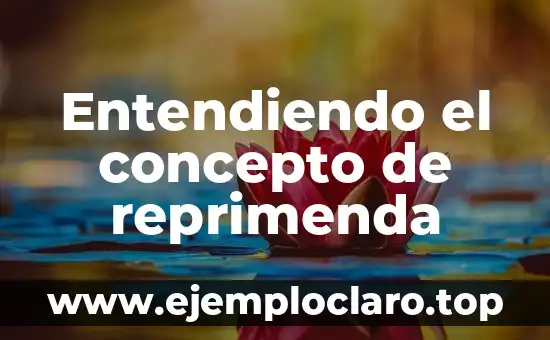 Entendiendo el Concepto de Hábitat 7 Entendiendo el concepto de reprimenda