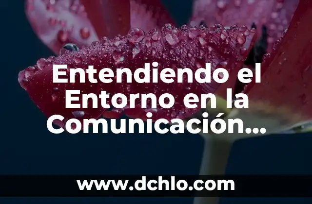 Cómo Hacer una Dieta para Perder Peso de Forma Segura y Efectiva 6 Entendiendo el Entorno en la Comunicación Efectiva